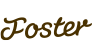 Labrador-Foster